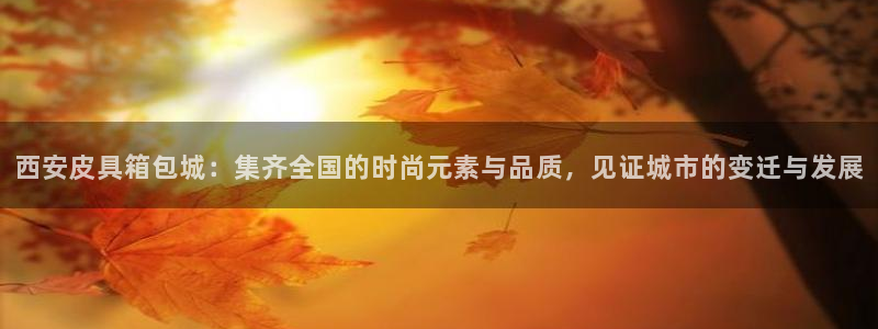 辉达娱乐分红