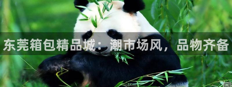 辉达娱乐五75505
