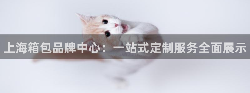 信誉辉达娱乐在线游戏