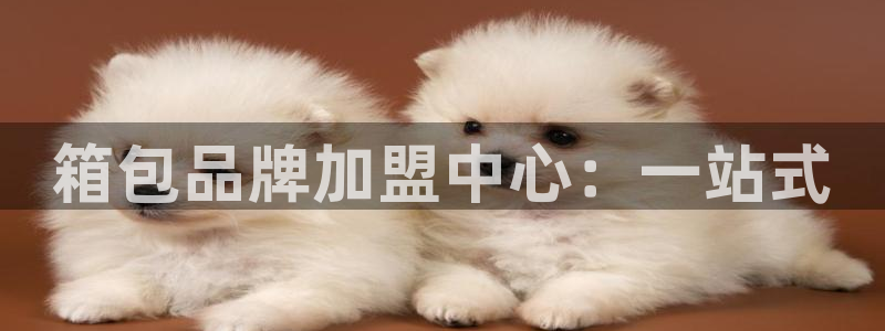辉达娱乐丿39444