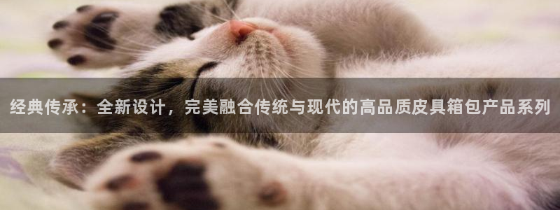 信誉辉达娱乐在线游戏