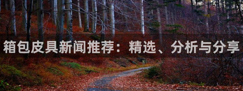 辉达平台官网电话