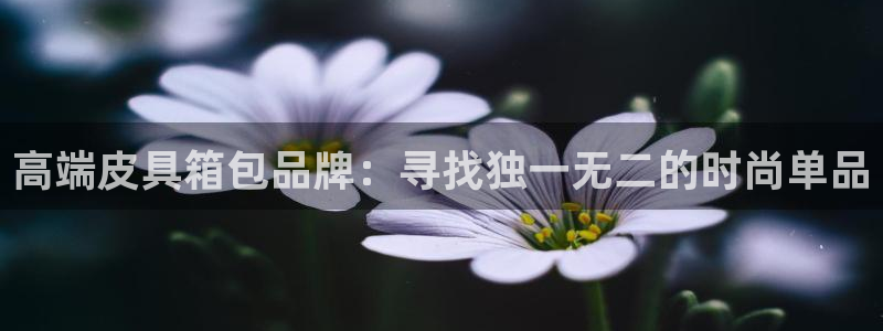 辉达娱乐平台
