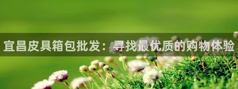 辉达娱乐开户注册