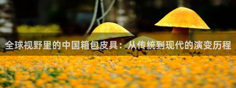 辉达平台注册入口