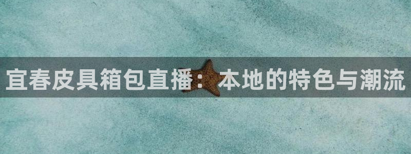 辉达怎么样