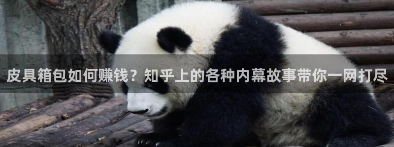 辉达平台官网首页
