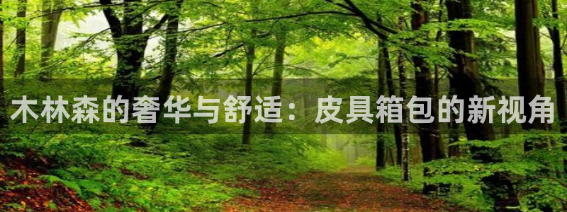 辉达娱乐重庆时时彩