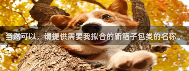 辉达娱乐app