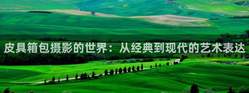 信誉辉达娱乐官方网址