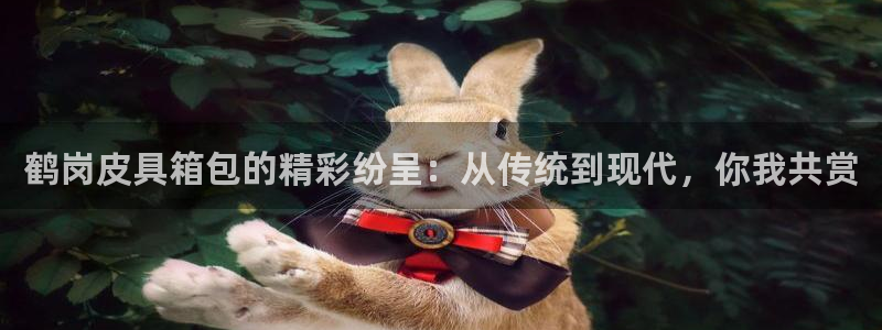 代理辉达娱乐平台