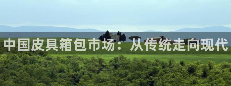 辉达集团官方网站