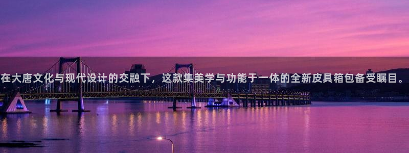 龙腾辉达电子娱乐
