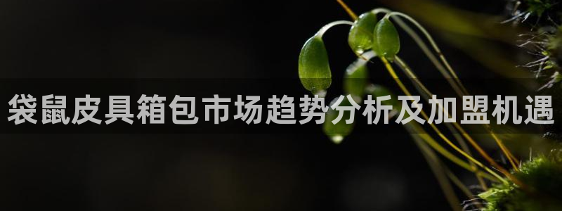 辉达娱乐app