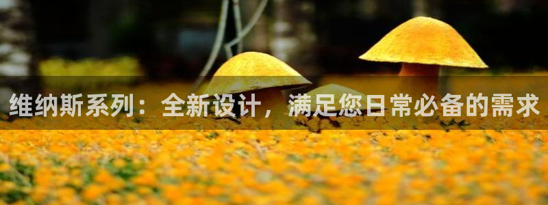 辉达娱乐己75505