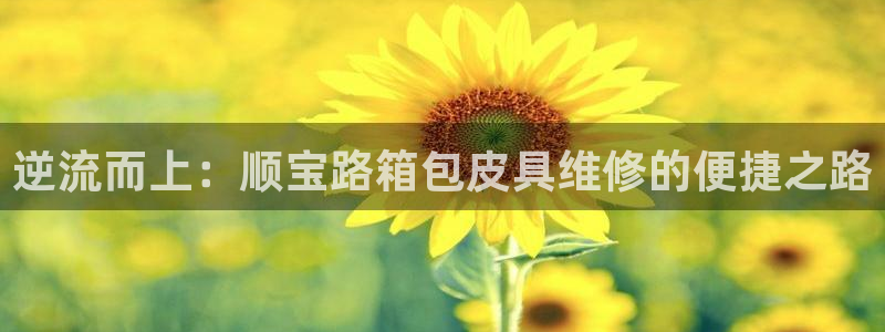 辉达怎么样