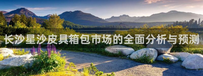 辉达平台官网登录