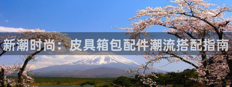 辉达平台注册入口