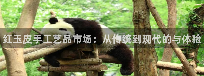 正规辉达娱乐平台