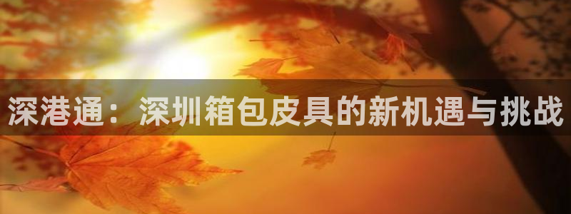 信誉辉达娱乐