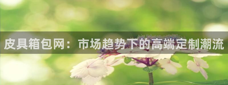 辉达娱乐ag游戏平台