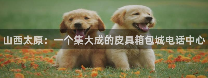 辉达集团官方网站