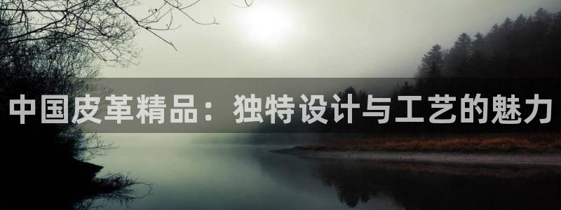 辉达娱乐游戏.直开.中国