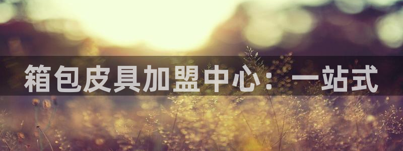 辉达娱乐待遇
