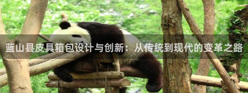 辉达集团官方网站