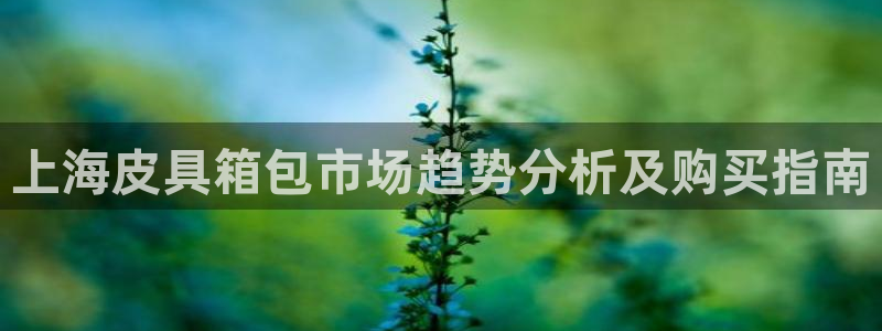 辉达娱乐最新现状