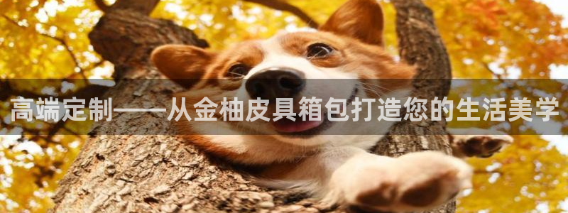 辉达娱乐电子