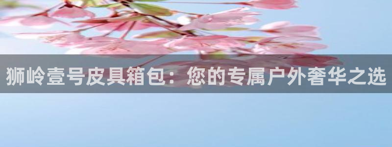 辉达平台注册入口