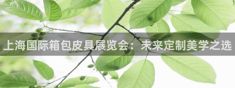 辉达娱乐