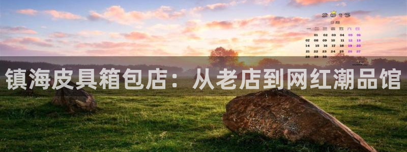 辉达平台注册入口