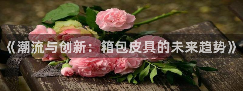 达利娱乐王辉