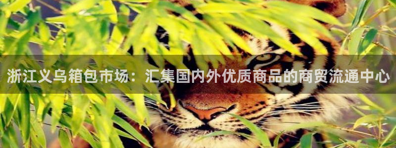 辉达娱乐官网