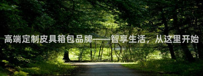 辉达娱乐加q75775