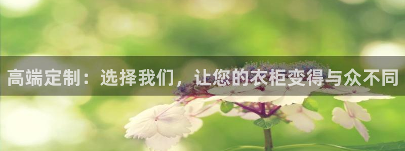 辉达娱乐官网