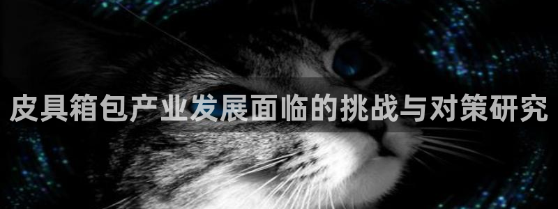 代理辉达娱乐