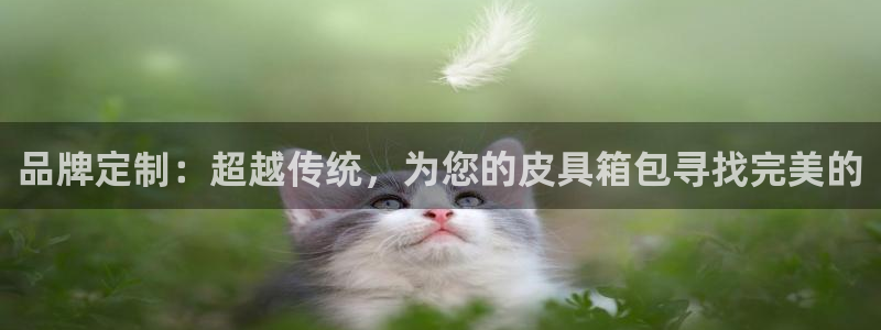 辉达平台官网电话