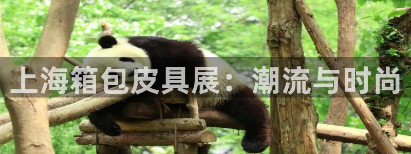 代理辉达娱乐平台