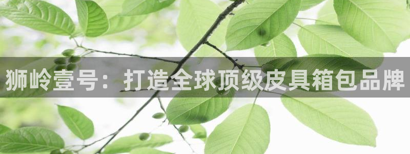 辉达娱乐电子
