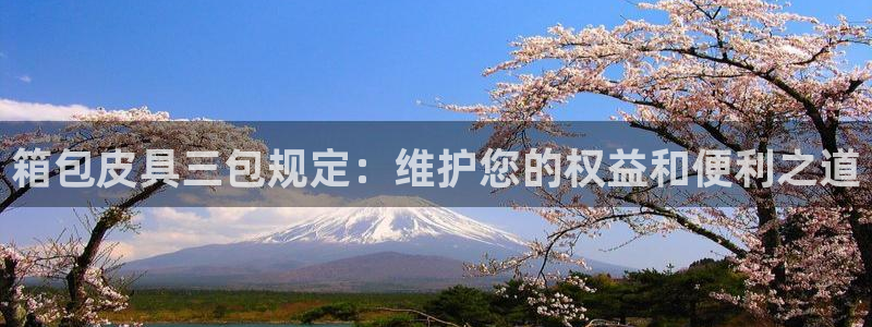 辉达娱乐公司