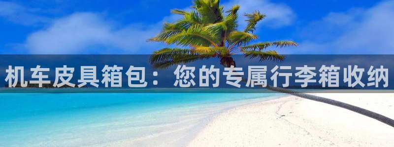 达利娱乐王辉