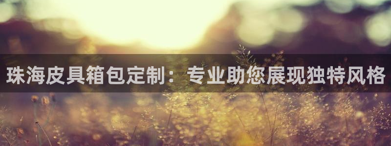 辉达平台注册资金多少