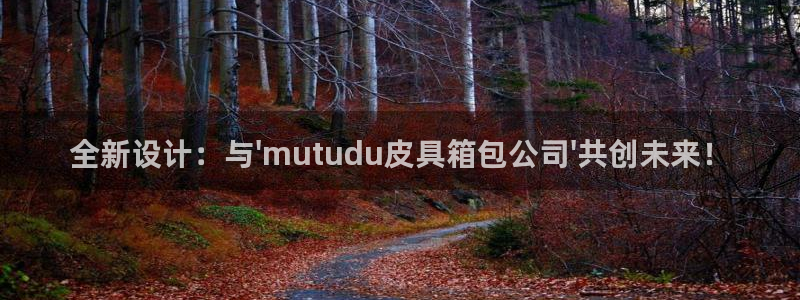 辉达平台注册资金多少