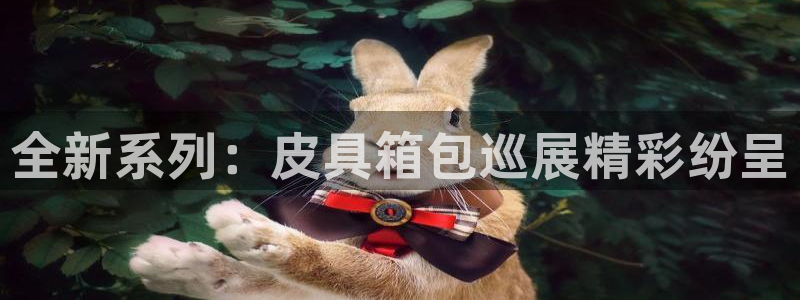 辉达娱乐官方网址