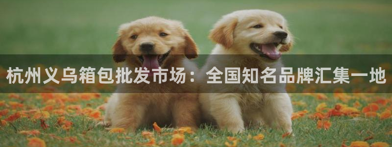 辉达平台官网网站