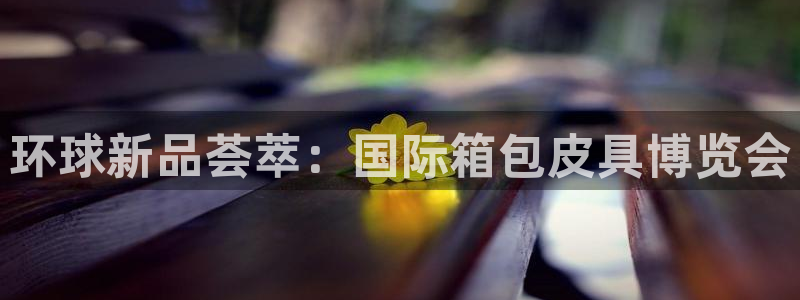 辉达娱乐公司
