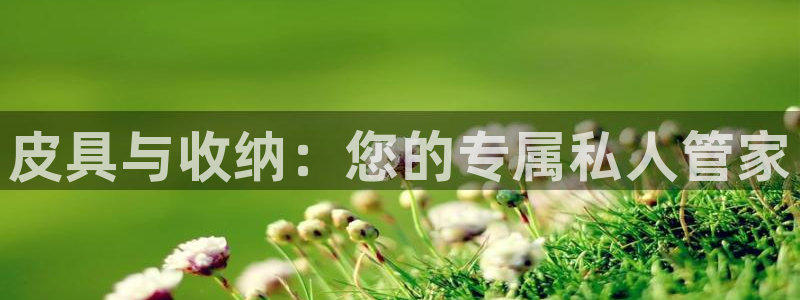 菲律宾辉达娱乐